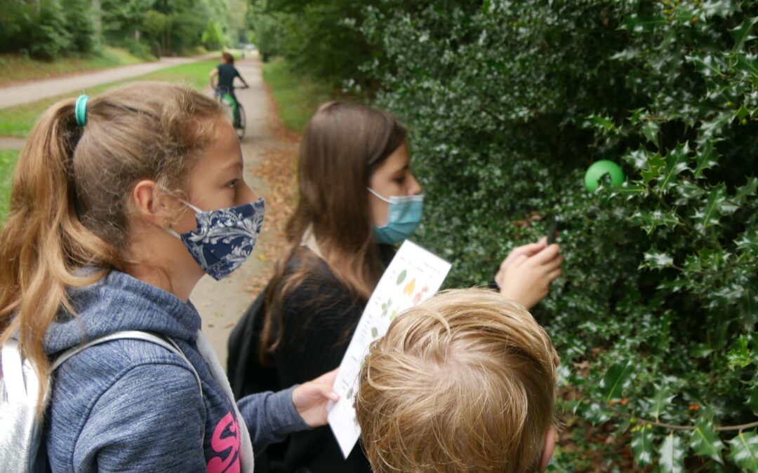 Waldexkursion als digitale Schnitzeljagd