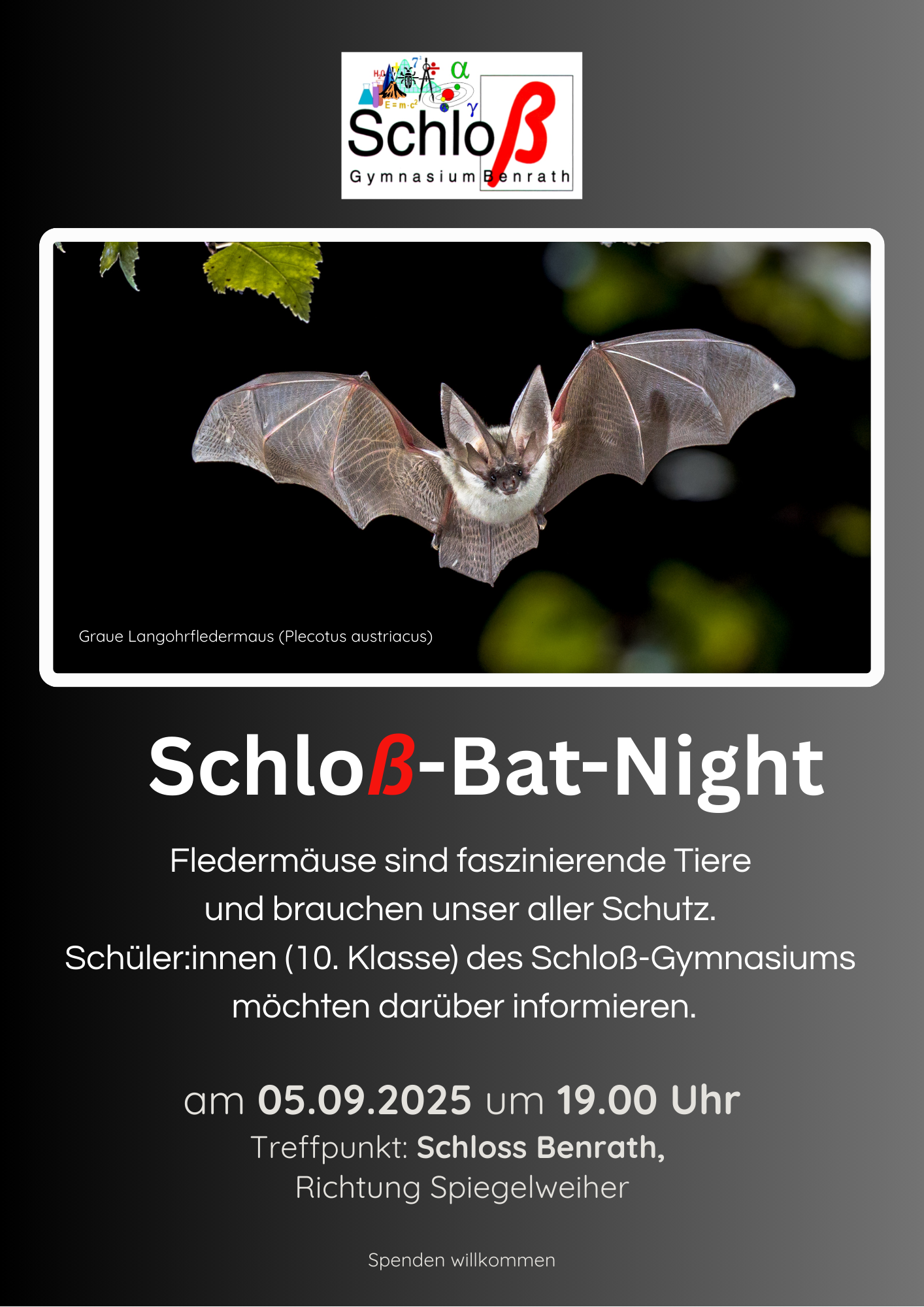 Poster_Bat_Night