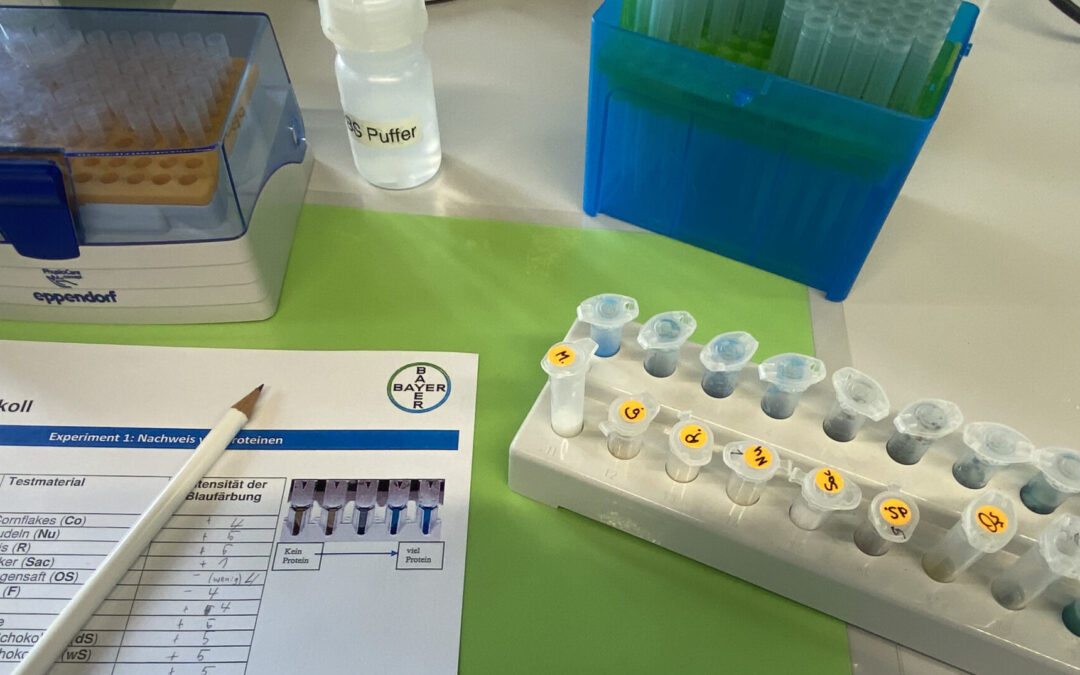 Ein Tag im Baylab zur Enzymatik