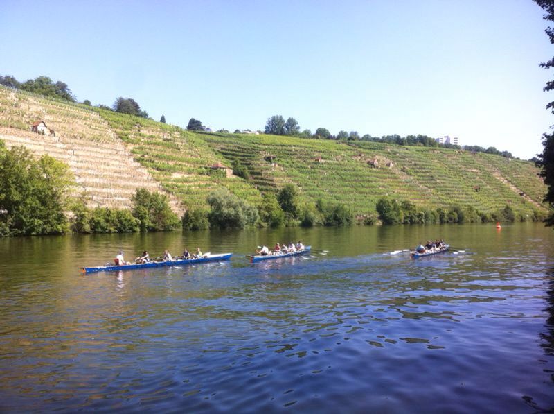 RWF Neckar 2014