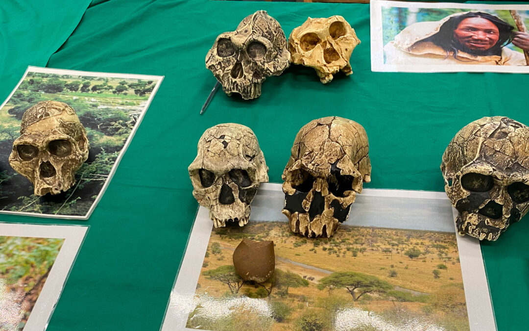 Tag mit den Neanderthaler:innen